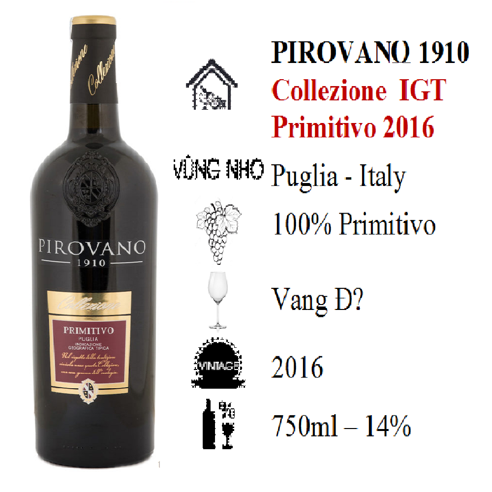 Rượu vang PIROVANO 1910 COLLECZIONE PRIMITIVO